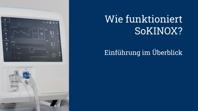 SoKINOX im Überblick
